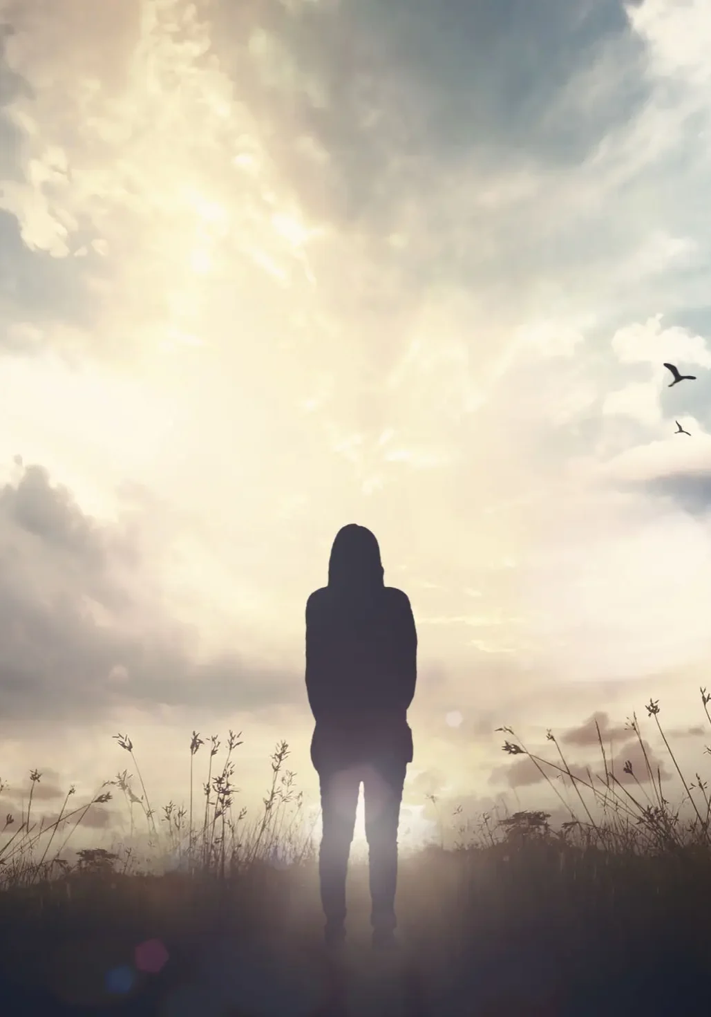 Silhouette of a person standing in a misty field under a dramatic sky.